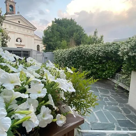 Mirabello Coccola Di Lusso A *